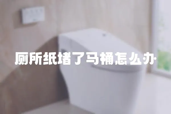廁所紙堵了馬桶怎么辦