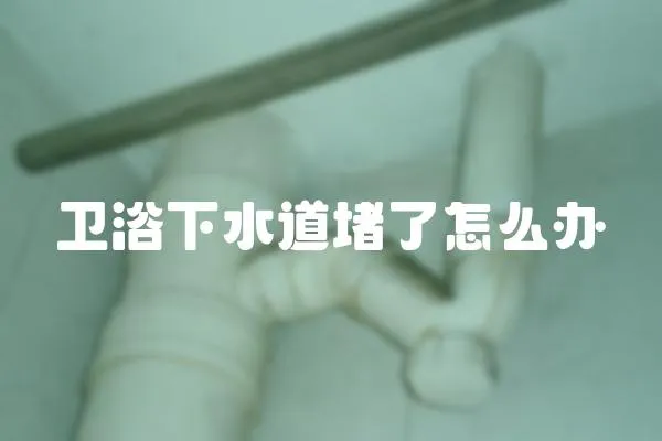 衛(wèi)浴下水道堵了怎么辦