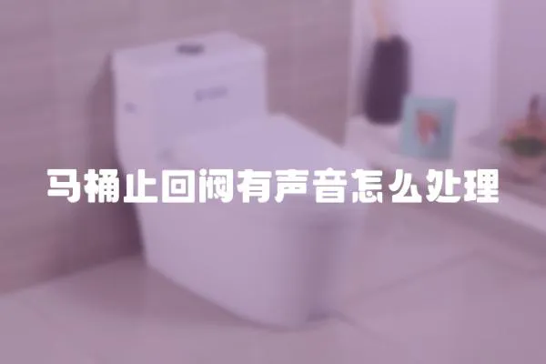 馬桶止回閥有聲音怎么處理