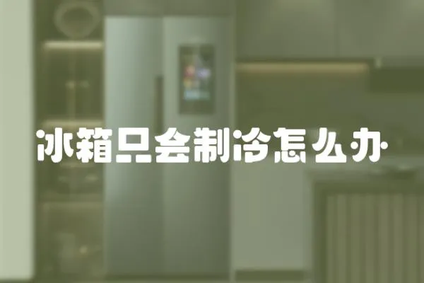 冰箱只會制冷怎么辦