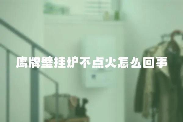 鷹牌壁掛爐不點火怎么回事