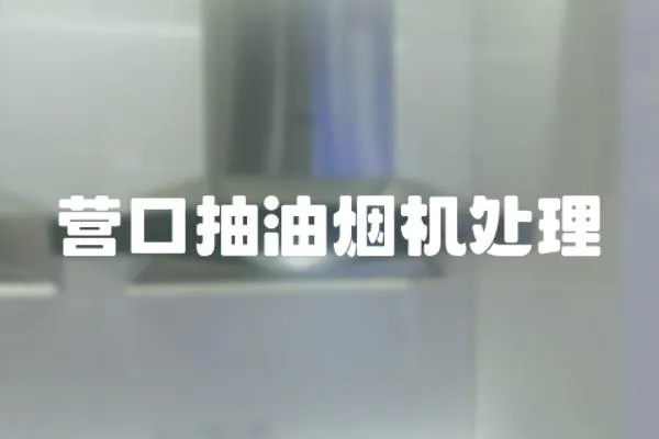 營口抽油煙機處理