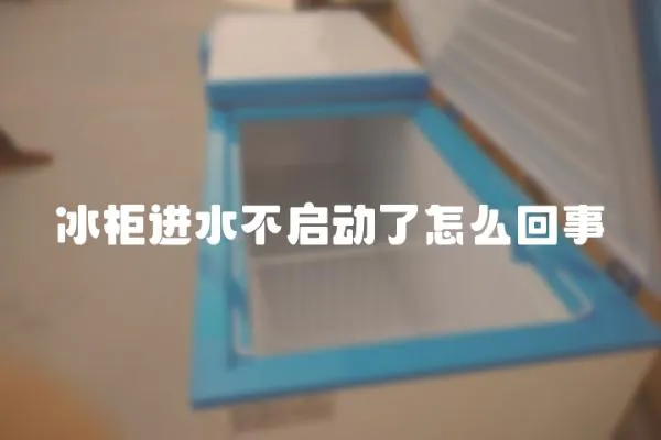 冰柜進水不啟動了怎么回事