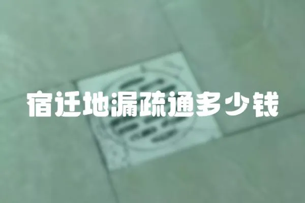 宿遷地漏疏通多少錢