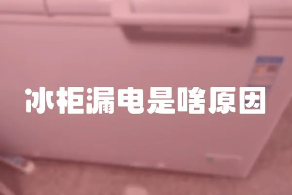 冰柜漏電是啥原因