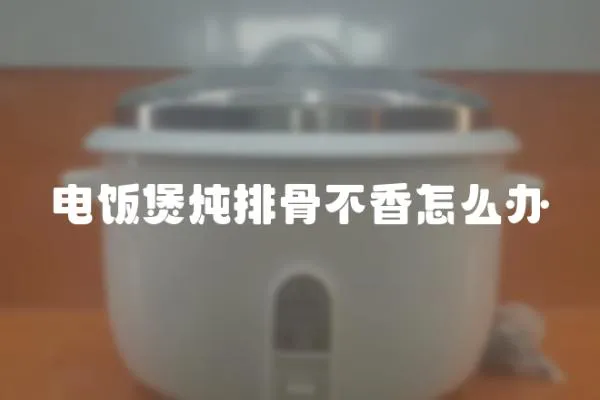 電飯煲燉排骨不香怎么辦