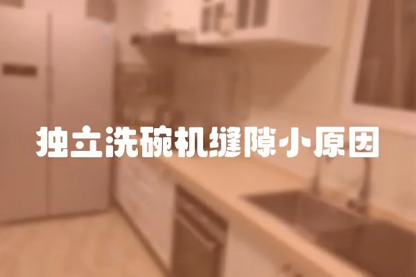 獨(dú)立洗碗機(jī)縫隙小原因