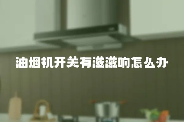 油煙機開關有滋滋響怎么辦