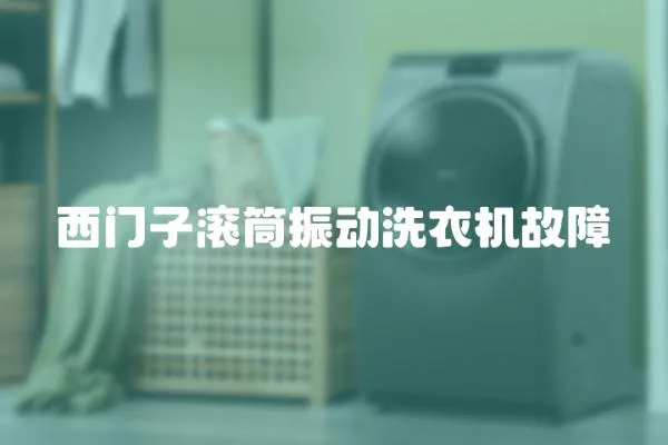 西門子滾筒振動洗衣機故障