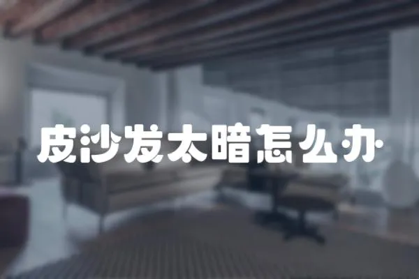 皮沙發太暗怎么辦