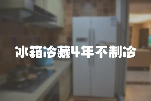 冰箱冷藏4年不制冷