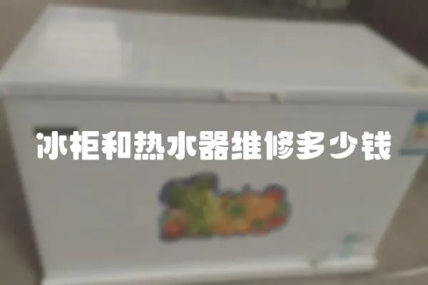 冰柜和熱水器維修多少錢