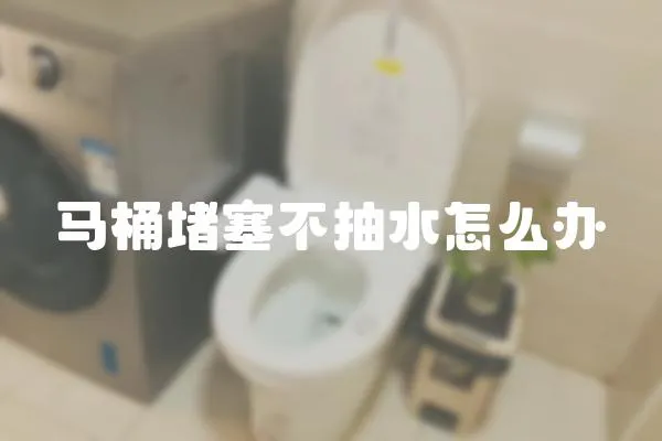 馬桶堵塞不抽水怎么辦