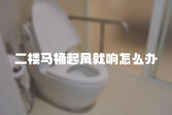 二樓馬桶起風就響怎么辦