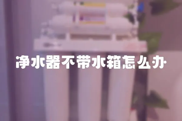 凈水器不帶水箱怎么辦