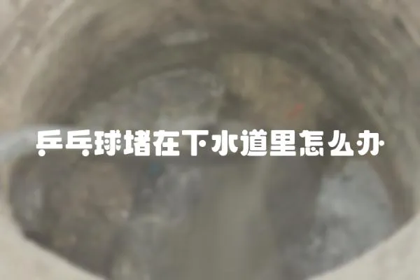 乒乓球堵在下水道里怎么辦