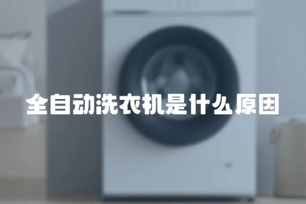 全自動(dòng)洗衣機(jī)是什么原因