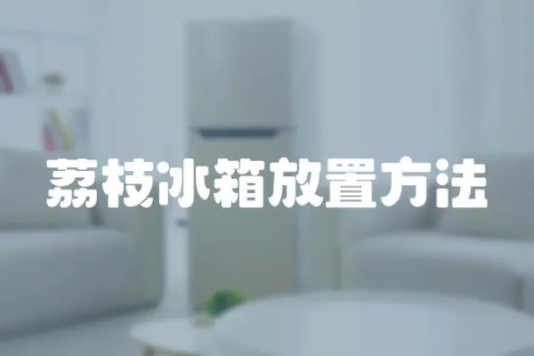 荔枝冰箱放置方法