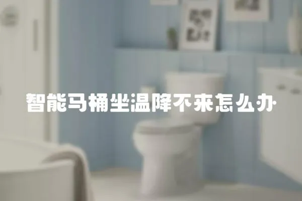智能馬桶坐溫降不來怎么辦