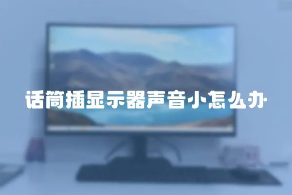 話筒插顯示器聲音小怎么辦