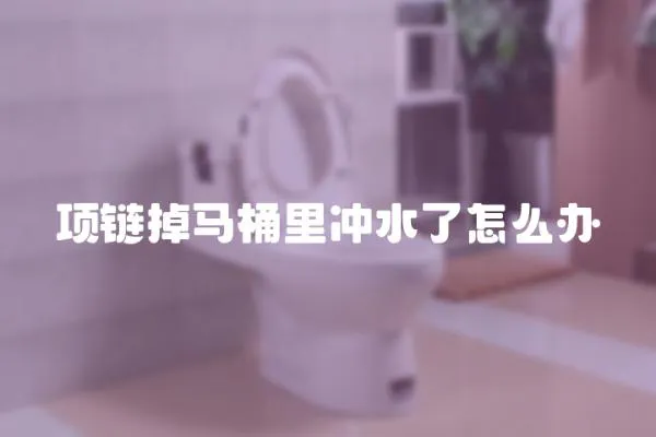 項鏈掉馬桶里沖水了怎么辦