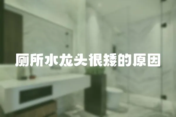 廁所水龍頭很矮的原因