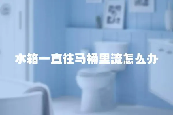 水箱一直往馬桶里流怎么辦