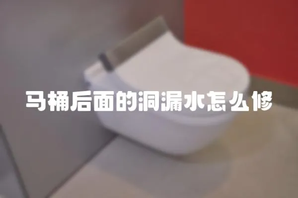 馬桶后面的洞漏水怎么修