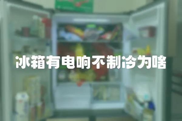 冰箱有電響不制冷為啥