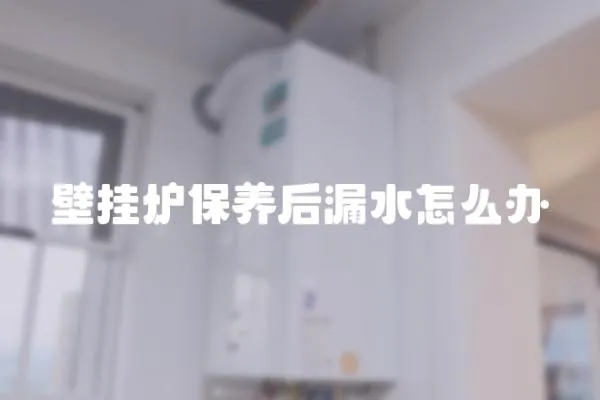 壁掛爐保養后漏水怎么辦