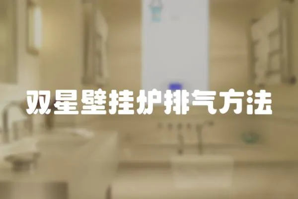 雙星壁掛爐排氣方法