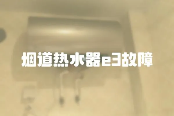 煙道熱水器e3故障