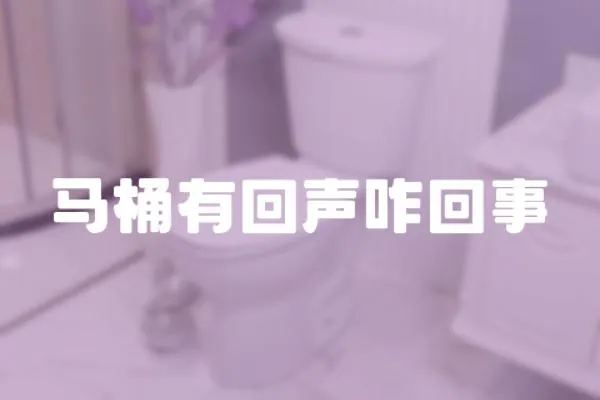 馬桶有回聲咋回事