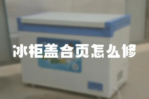 冰柜蓋合頁怎么修