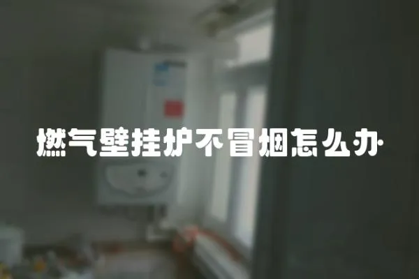 燃氣壁掛爐不冒煙怎么辦