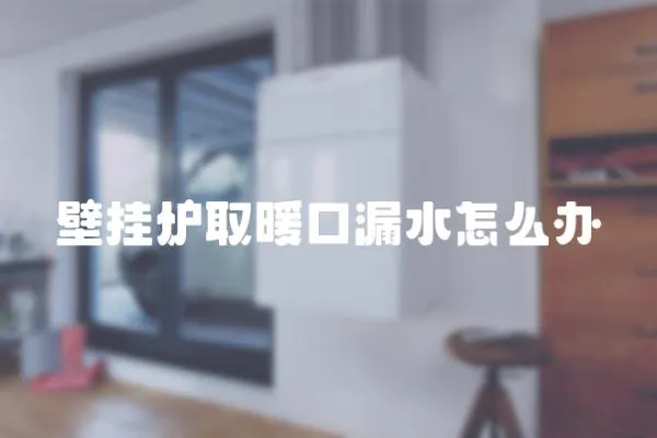 壁掛爐取暖口漏水怎么辦