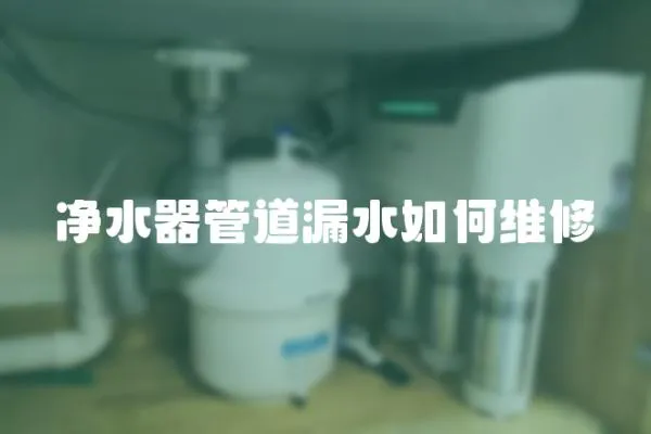 凈水器管道漏水如何維修