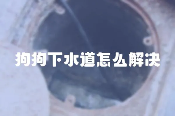 狗狗下水道怎么解決