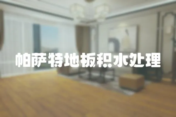 帕薩特地板積水處理