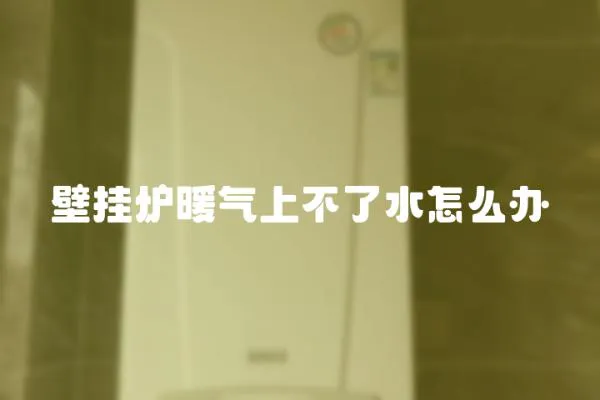 壁掛爐暖氣上不了水怎么辦