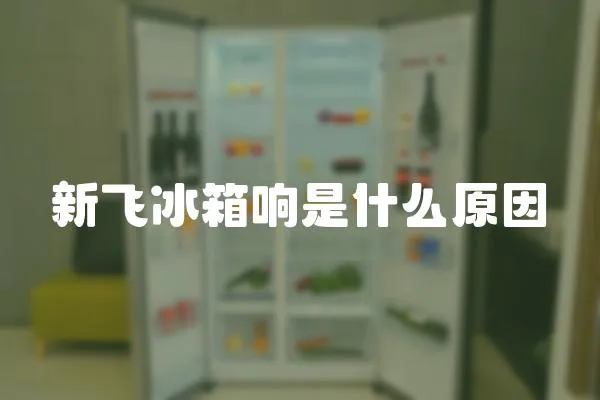 新飛冰箱響是什么原因