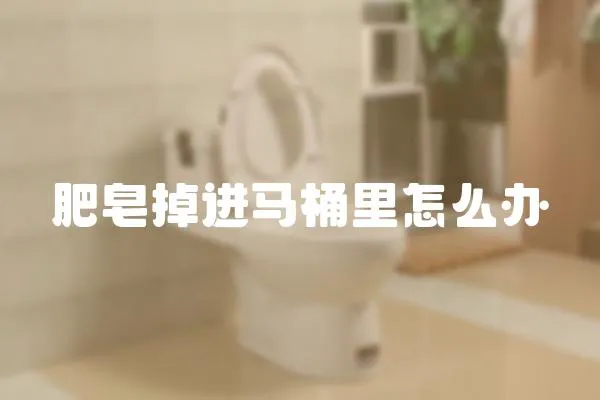 肥皂掉進馬桶里怎么辦