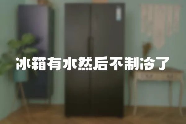 冰箱有水然后不制冷了