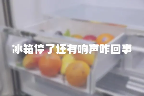 冰箱停了還有響聲咋回事