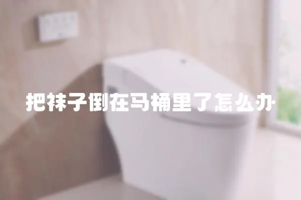 把襪子倒在馬桶里了怎么辦