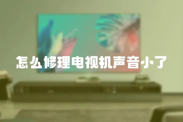 怎么修理電視機聲音小了
