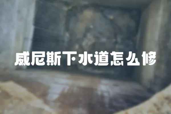 威尼斯下水道怎么修