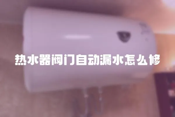 熱水器閥門自動漏水怎么修