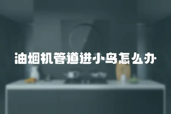 油煙機管道進小鳥怎么辦