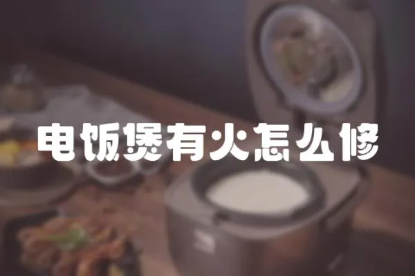 電飯煲有火怎么修